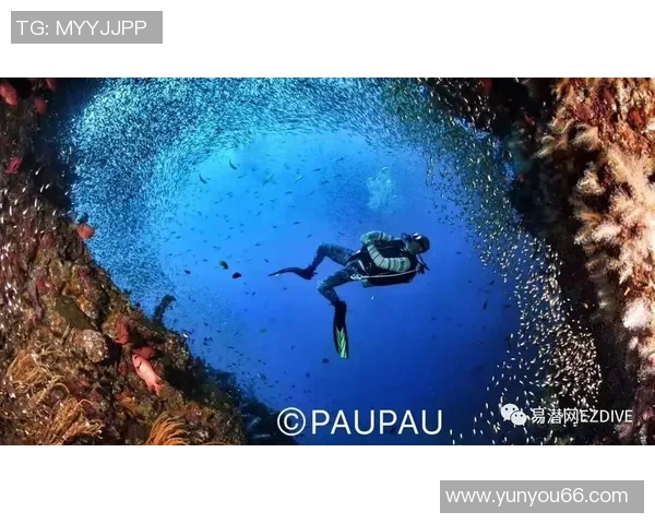 周芳独家揭秘极限运动的乐趣与挑战分享心得与技巧 周芳独家揭秘极限运动的乐趣与挑战分享心得与技巧