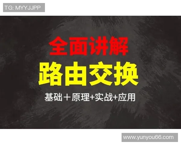 深入分析杭州排球队防反战术的独特魅力与实战应用 深入分析杭州排球队防反战术的独特魅力与实战应用